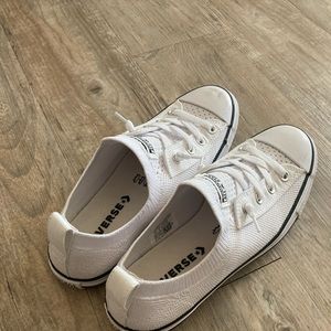 Mesh converse shoreline
